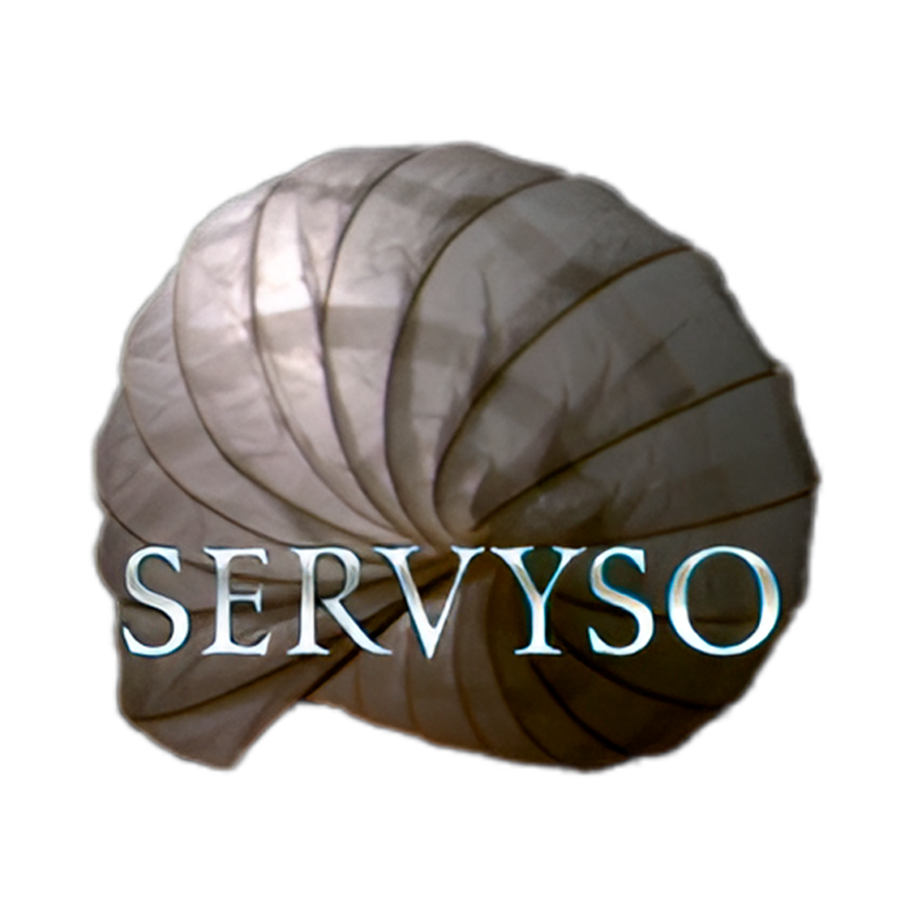 serviso-carrusel